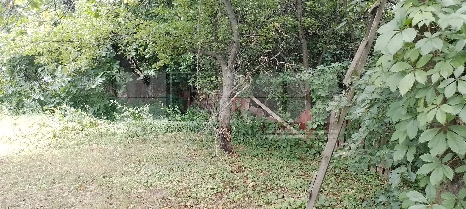 Teren intravilan | Zamca, Suceava | 243.000 Euro - Poză 10