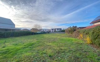 Teren Intravilan, 1000mp, 20m Front, Casa ind, Dumbravita, Comision 0 - Poză 3