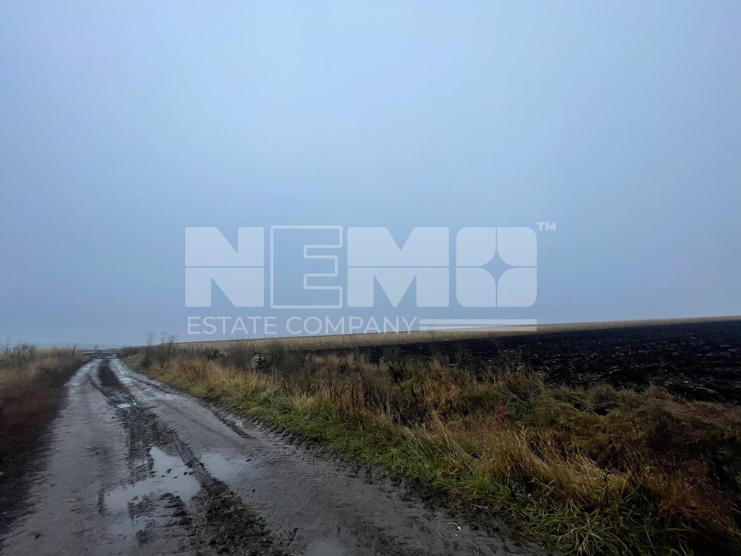 TEREN EXTRAVILAN | DOUA PARCELE| 70 ARI| IDEAL AGRICOL| CALAFINDESTI - Poză 7