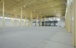 Hala industrială 2.000 mp • Depozitare / Producție • Rampe încărcare • Otopeni - Poză 10
