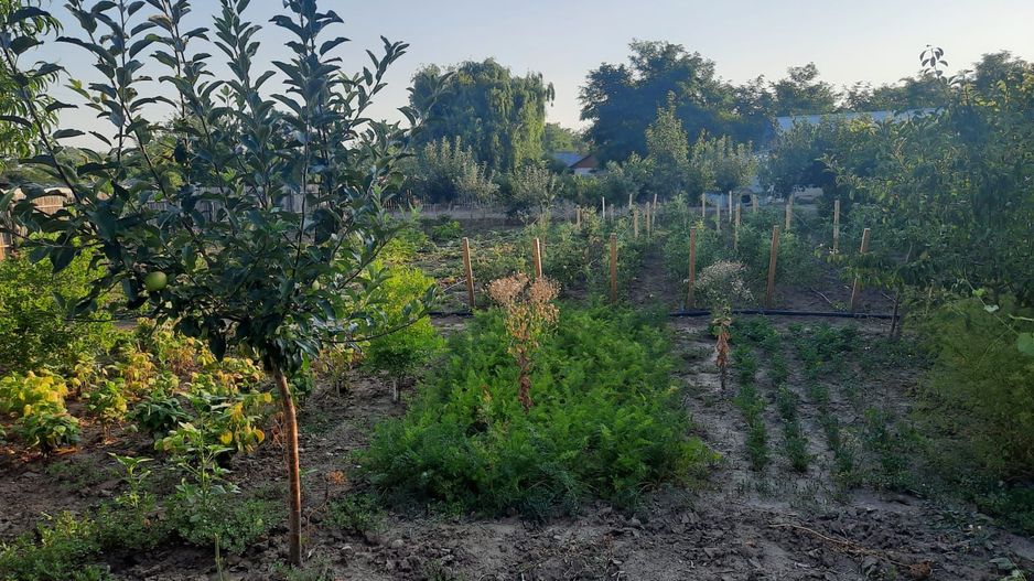 Casa Parter+Pod 90 mp+anexa 60 mp + atelier + teren intravilan 1600 mp - Poză 38