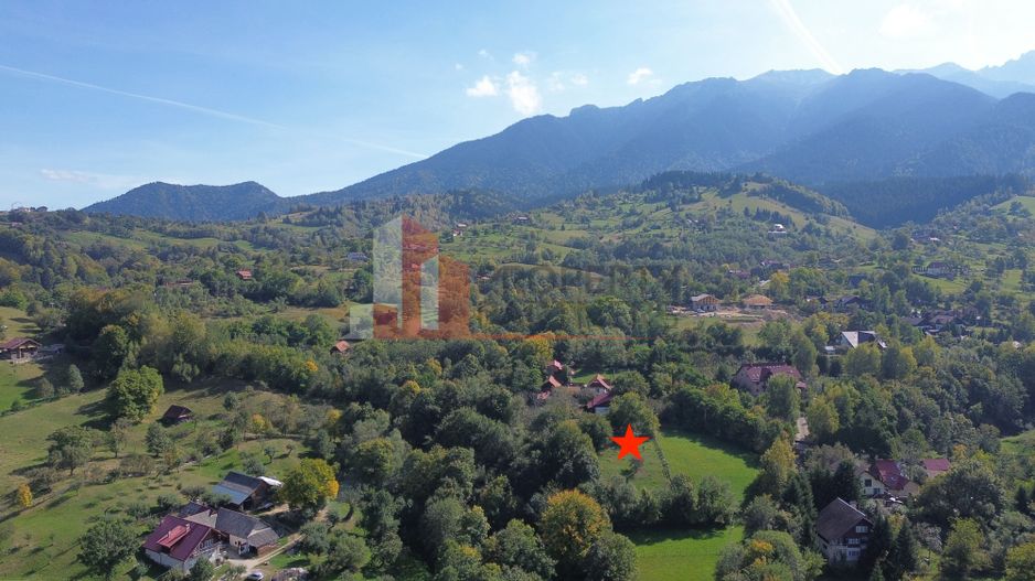 Teren intravilan 1.300 mp | Vedere Piatra Craiului | Bran Poarta - Poză 5