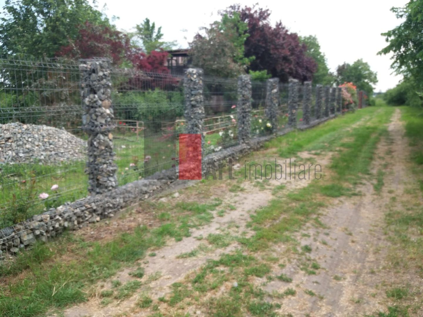 Teren Buftea cu iesire la lac - Poză 9