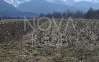 Teren extravilan de vanzare - Arpasul de Sus - Poză 3