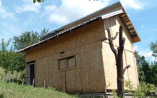Drajna de Jos 5000 mp Teren +Casa demolabila ! - Poză 3