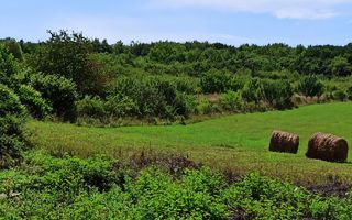 Parcele teren 4038 mp - Parcelabil - Zona Valea Stanelor - Poză 5
