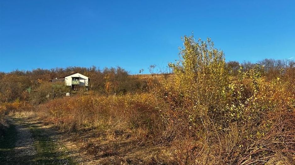 Teren intravilan lacul Hanul Pescarilor - Poză 2