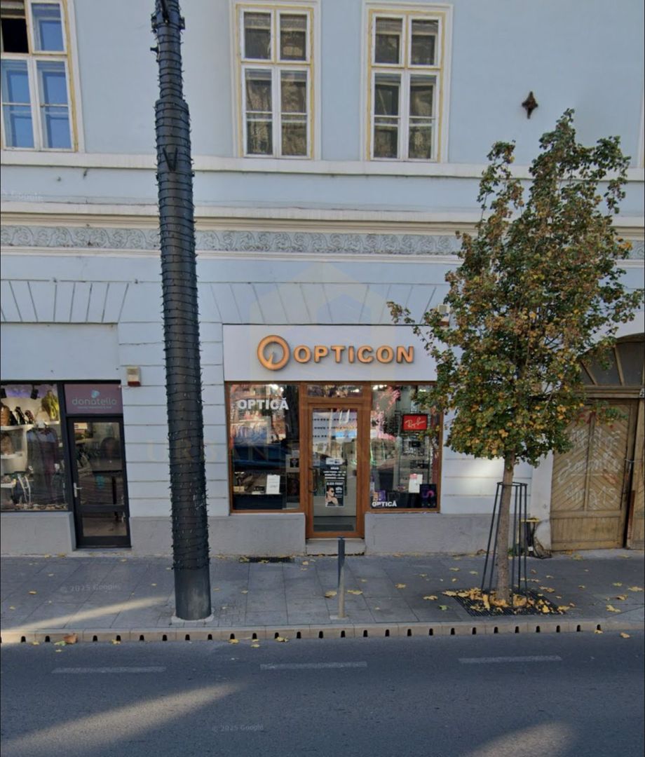 Inchiriere spatiu comercial, 60 mp, Regele Ferdinand - Poză 1