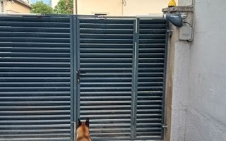BRASADAS vinde casa cu 3 cam teren 5 ari in zona Piata Mare. - Poză 8
