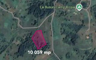 Teren cu panoramă fabuloasă, 10.059 mp, Roșia. 19.000 EUR. Comision 0 - Poză 6