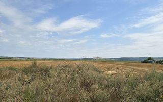 Teren intravilan– 50.000 mp, Bacău, Șoseaua Hol - Poză 3