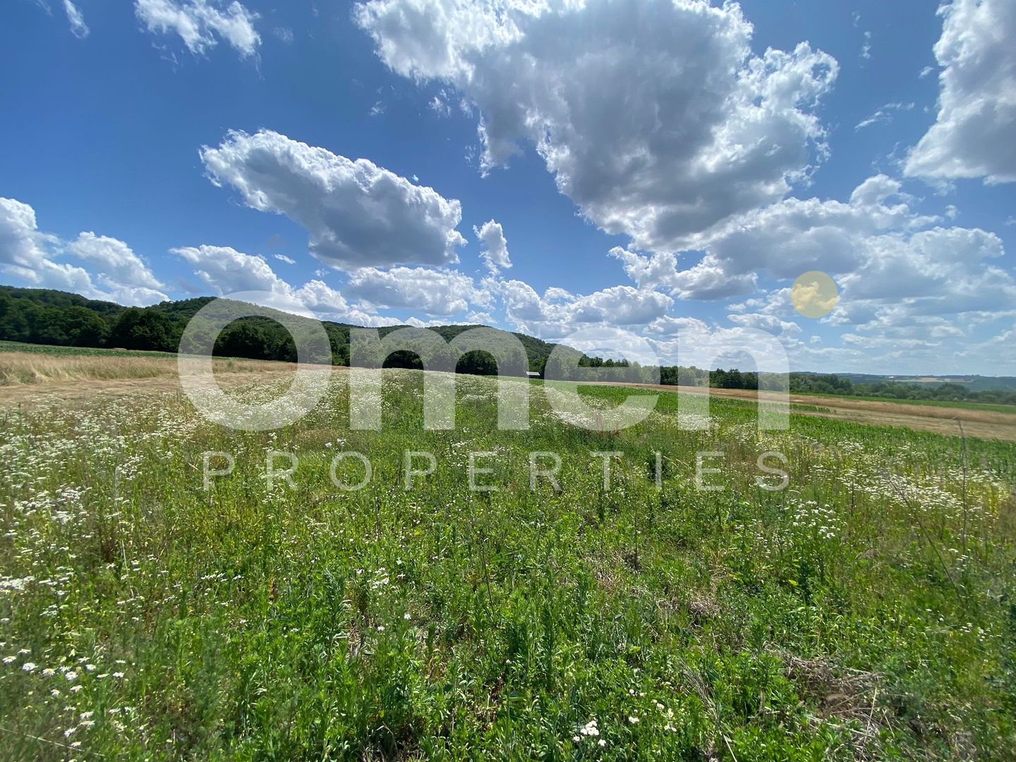 Teren de vanzare in Coas, zona linistita - Poză 4