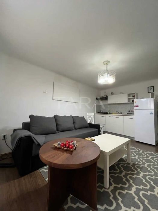 Ultracentral. Ideal inchiriere, investitie. Acces facil UMF. - Poză 2