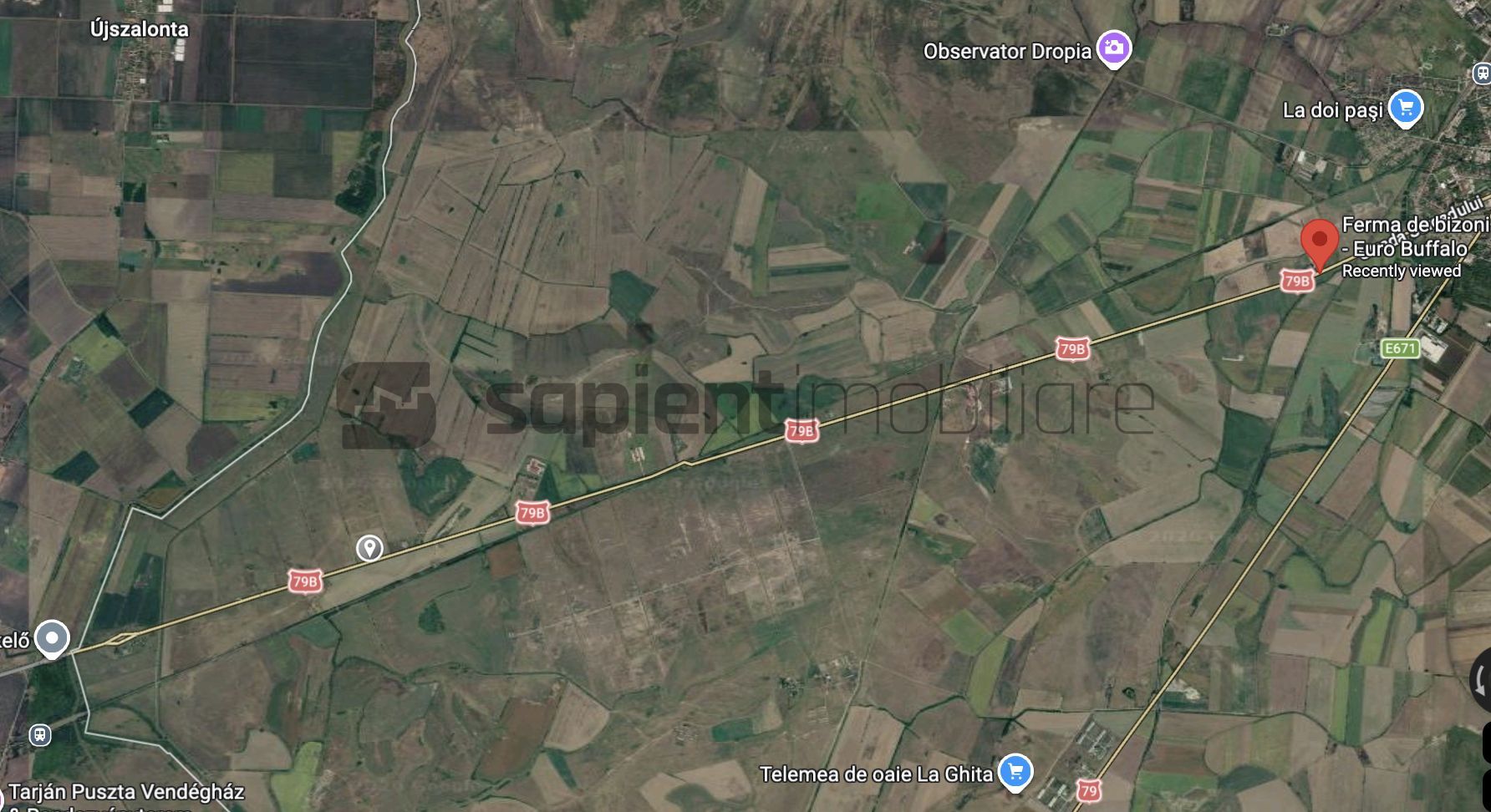 De vânzare teren extravilan, 11,600 mp, Salonta - Poză 3