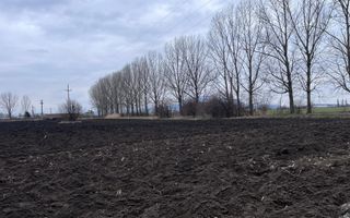 Teren 50000mp Extravilan-Intrare Halchiu-Cod 5235 - Poză 4