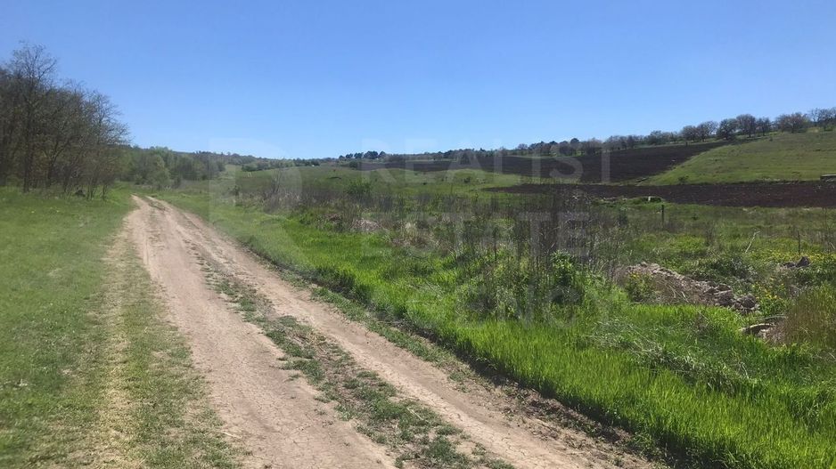 Spre vânzare , teren agricol, 15 ari, com. Bulboaca, Aneni Noi - Poză 6