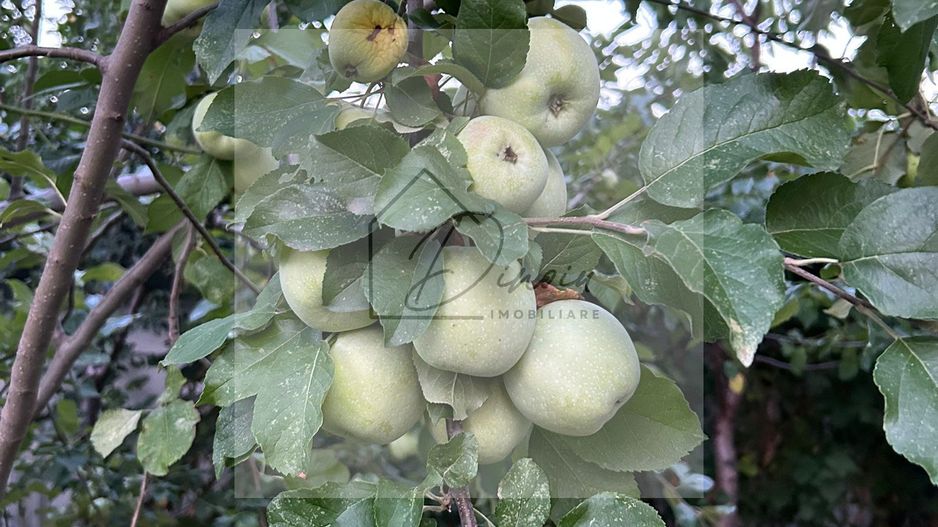 Vila de vanzare in Tunari I Gata de mutat I 4 camere I 5 parcari - Poză 51