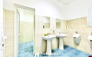 Clădire de birouri de închiriat în Dumbrăvița - Poză 18