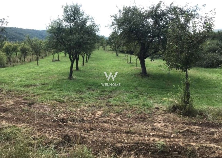 Teren extravilan - Sibiel, Sibiu - Poză 2