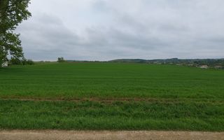 Teren intravilan 3.931 mp | Iacobești | Investiție excelentă - Poză 1