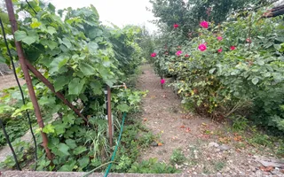 Casa cu teren de 915 mp și front de 20 ml - Poză 12