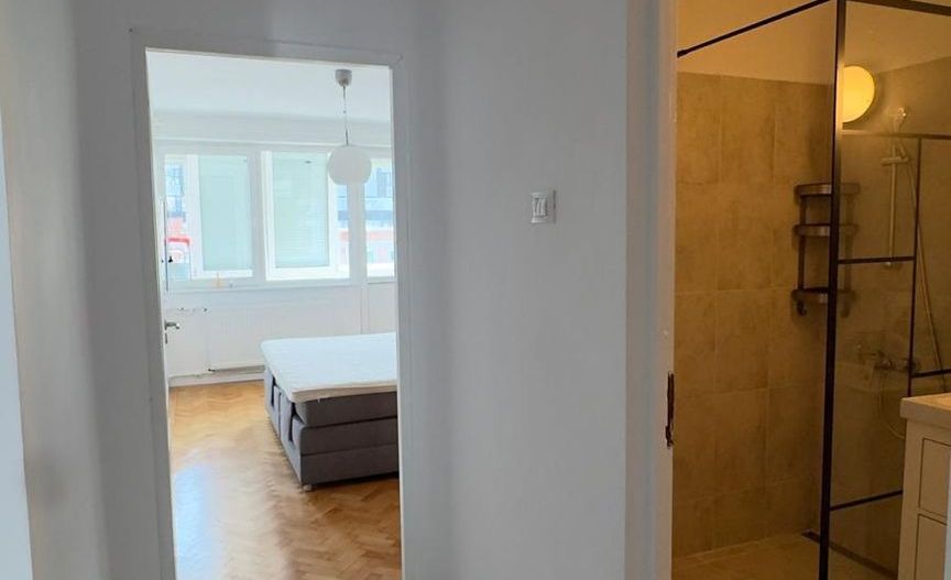 Apartament Iancu de Hunedoara // Dorobantilor - Poză 10