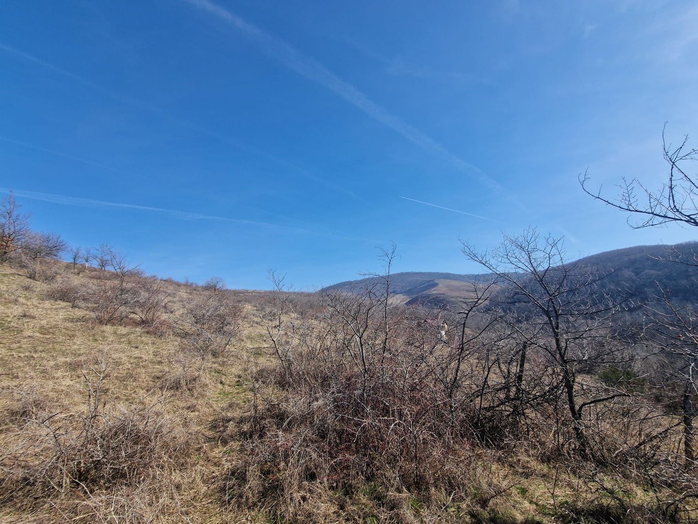 Teren extravilan, 23 400 mp, Cuvin (Ghioroc) - Poză 2