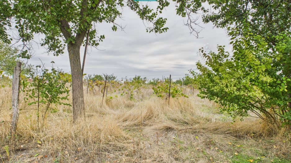 Clădire pentru investiții în Semlac - Poză 25