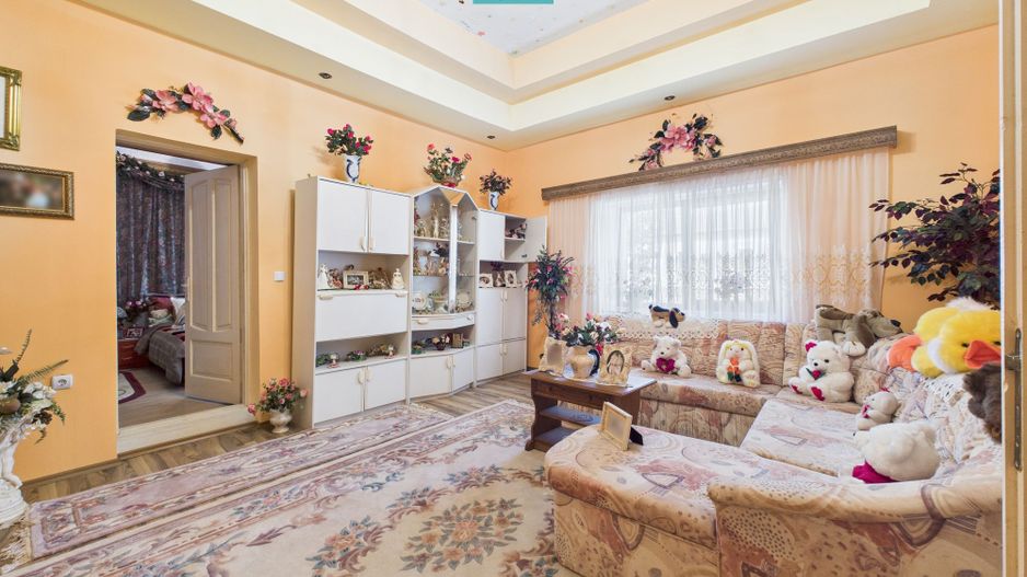 Casă cu 6 camere în Sânicolau Mare Timiș - Poză 17