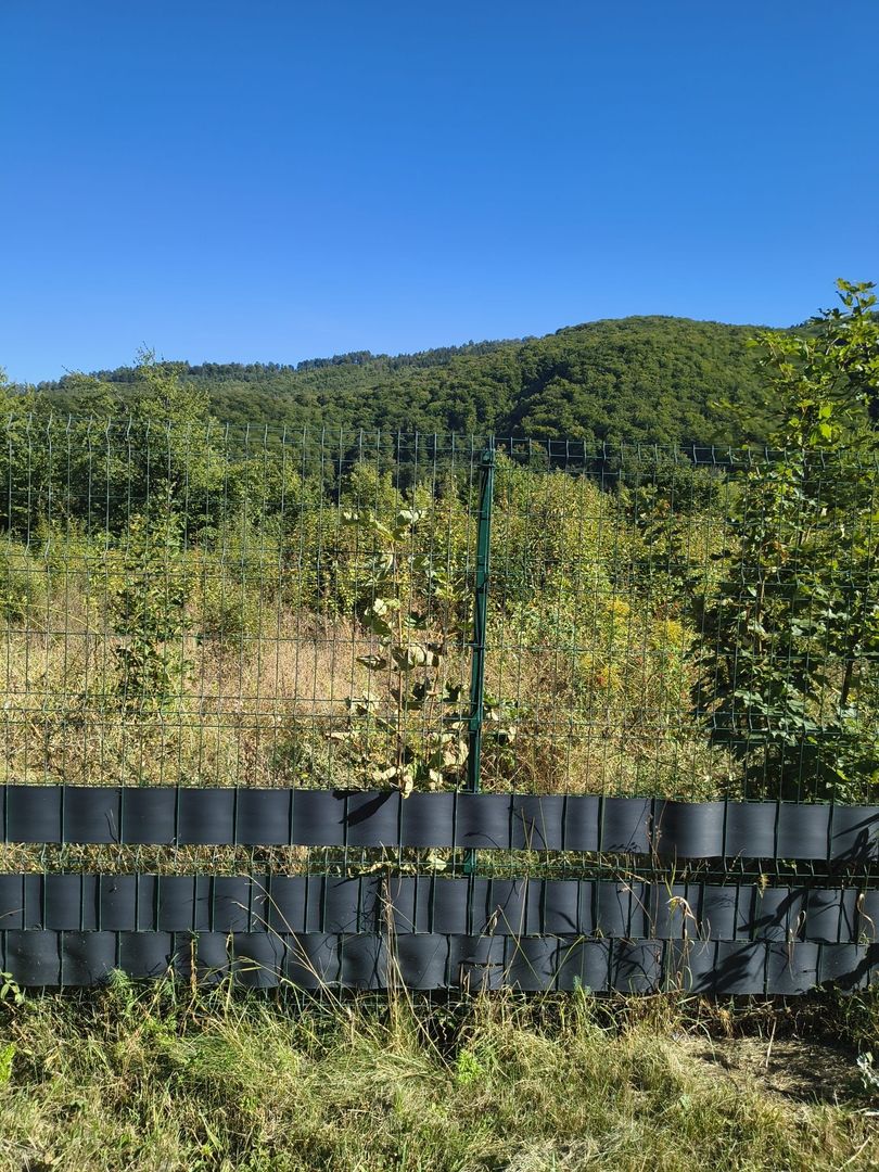 Vand Teren intravilan - Poză 9