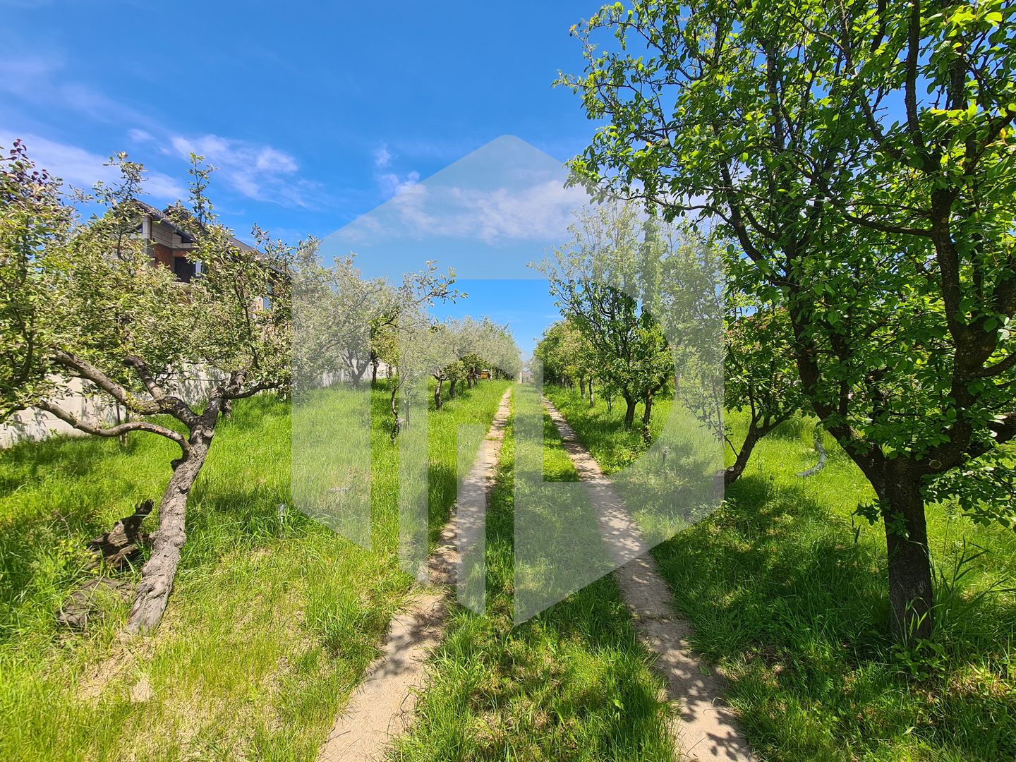 Casa de vanzare - IDEAL INVESTITIE - 1652mp teren - Daia - 105mpu - Poză 3