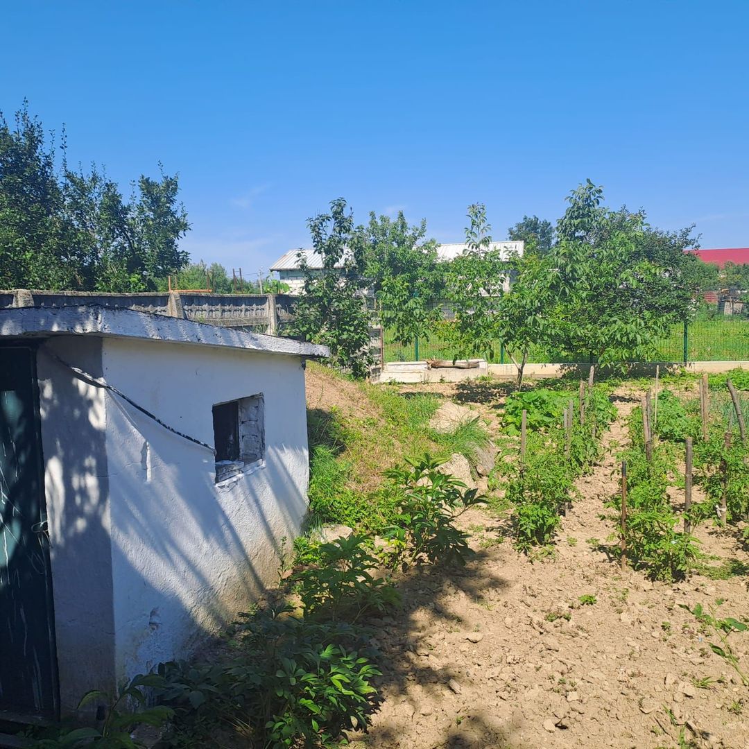 BRASADAS vinde prin REPREZENTARE EXCLUSIVA casa 8 cam 450mp. - Poză 16