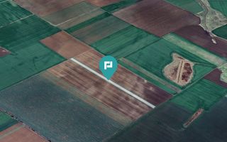 Teren 30.000 mp la drum asfaltat – Peciu Nou - Poză 3