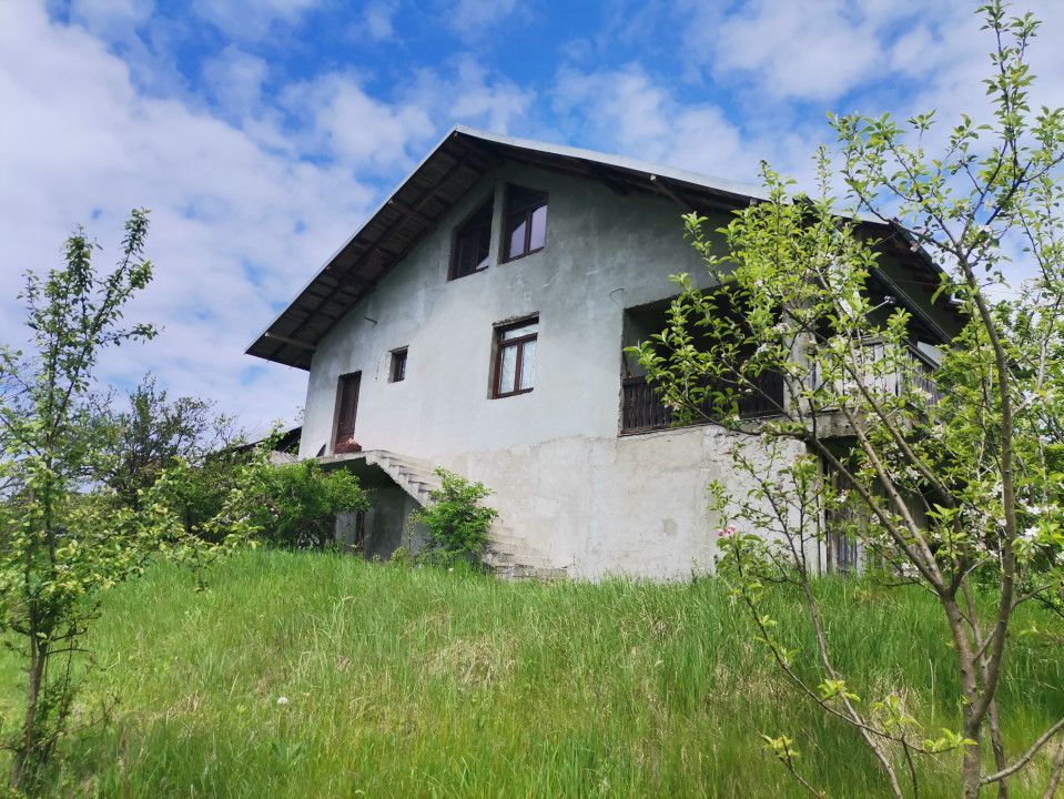 Vanzare casa Cotmeana, stradal - Poză 2
