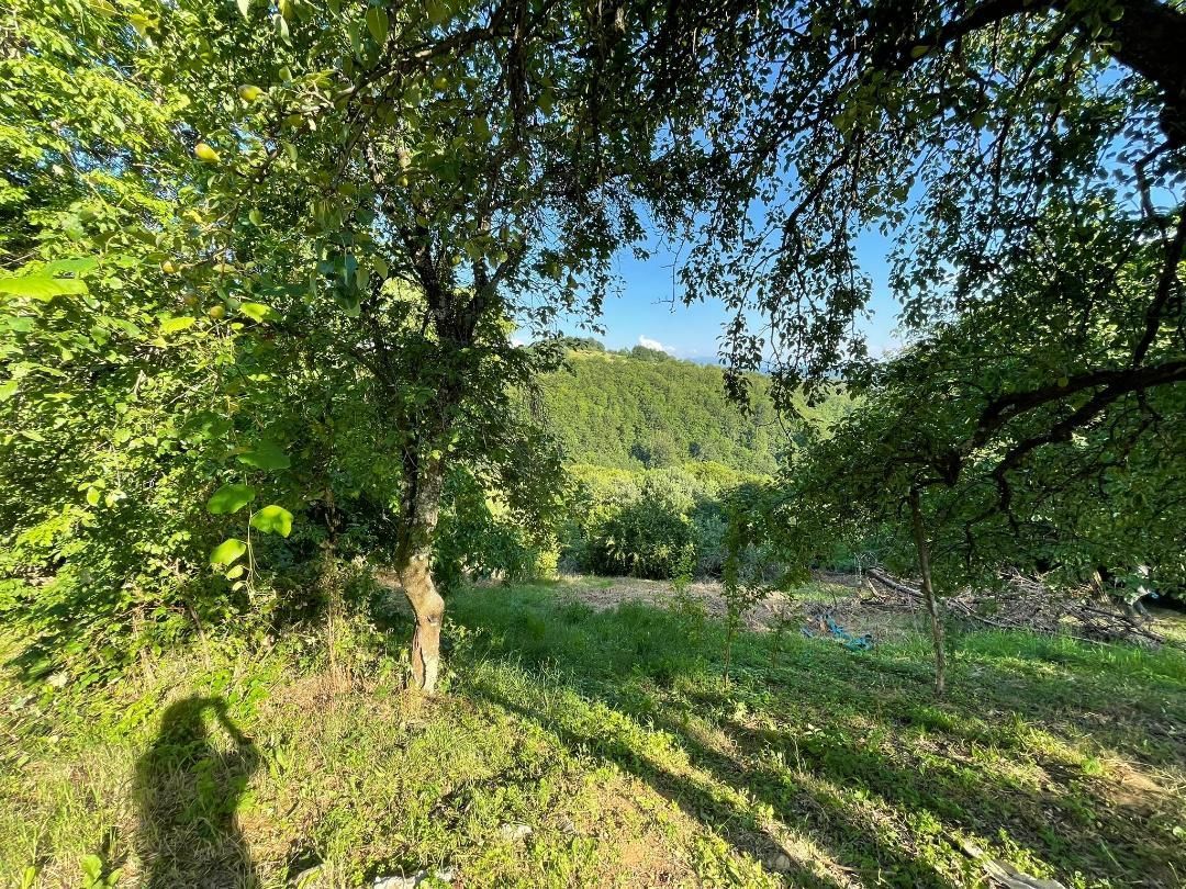 Teren zona turistica Rosia - Poză 1