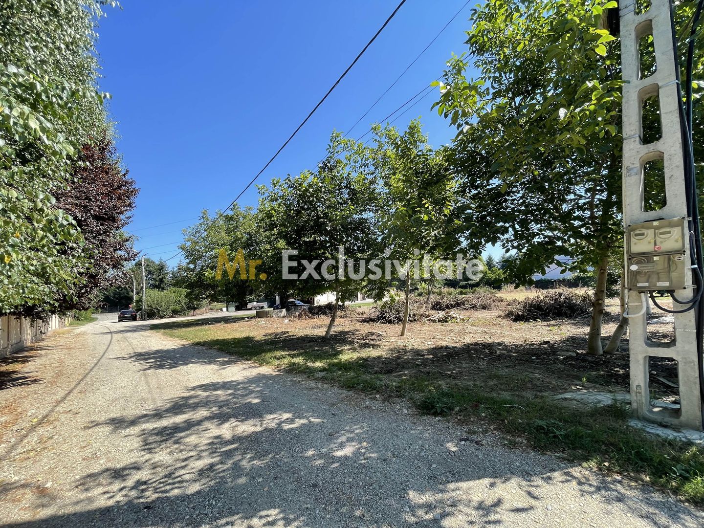 Teren 1.487 mp, doua deschideri la drum, Stefanestii Noi – Zavoi - Poză 4