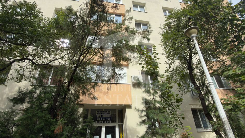 Apartament 3 camere Lacul Tei Teiul Doamnei - Poză 22