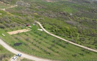 Teren 4850 mp - EXTRAVILAN - Slatinita - Poză 4