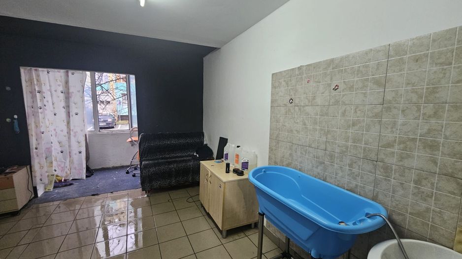 Spațiu comercial de vânzare | Trivale – Str. Bradului - Poză 9