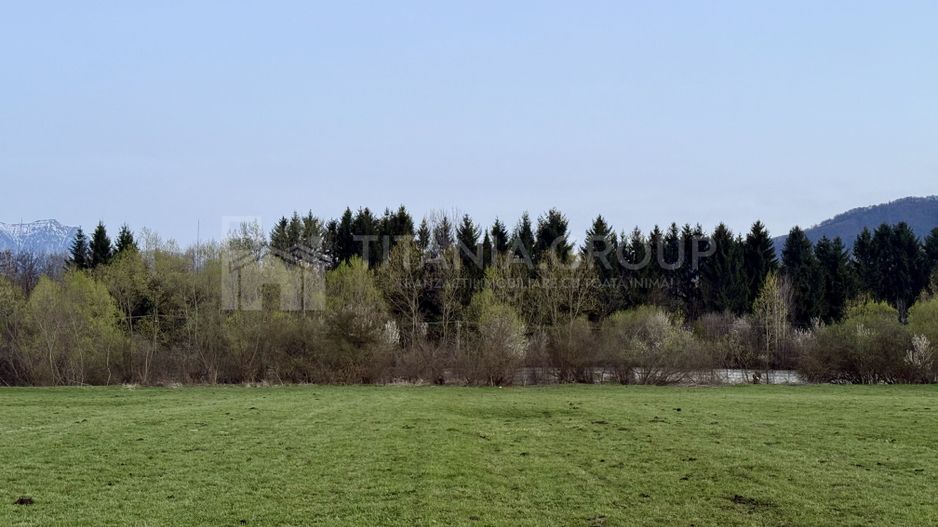 Teren intravilan, 7838 mp, cu priveliște superbă spre munți – Zărnești - Poză 7