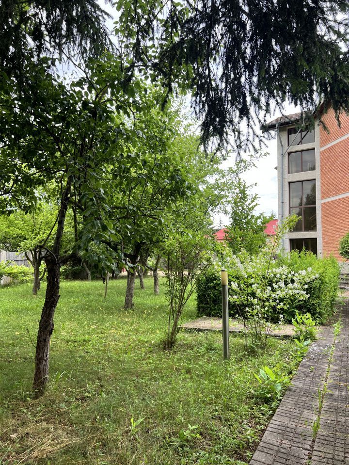 Acasă la Bascov- Județ Arges cu peisaj de poveste - Poză 4