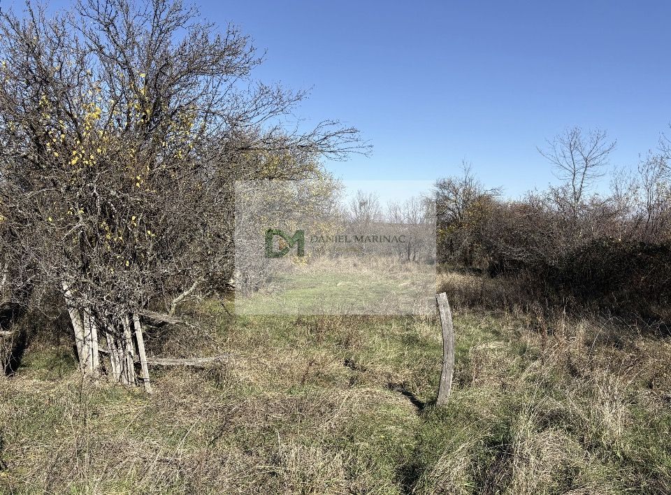Teren langa padure, liniste, aer curat la 11 km de Pitesti - Poză 2