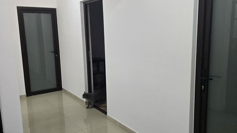 Acasă, în inima orașului – 3 camere renovate, liniște, comfort total - Poză 3