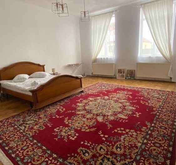 Casa de inchiriat pe strada De Mijloc - Poză 1