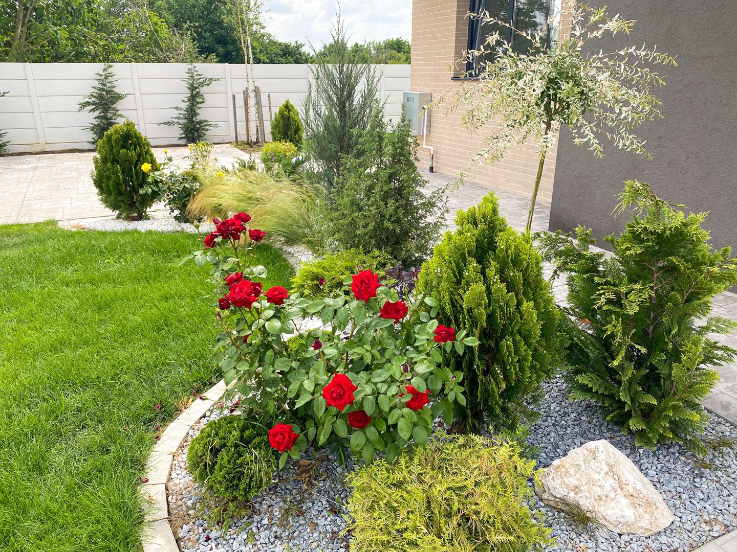 Vila individuala cu 4 dormitoare și 4 bai  |  Poluare 0  |  În NATURA - Poză 12