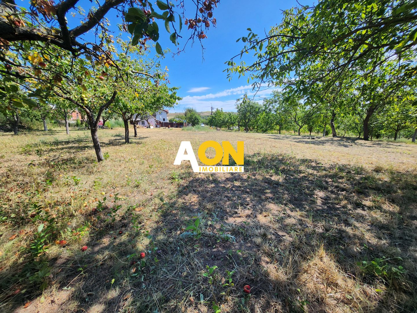 De vanzare teren 10.651mp intravilan, parcelabil, Oarda de Sus - Poză 11