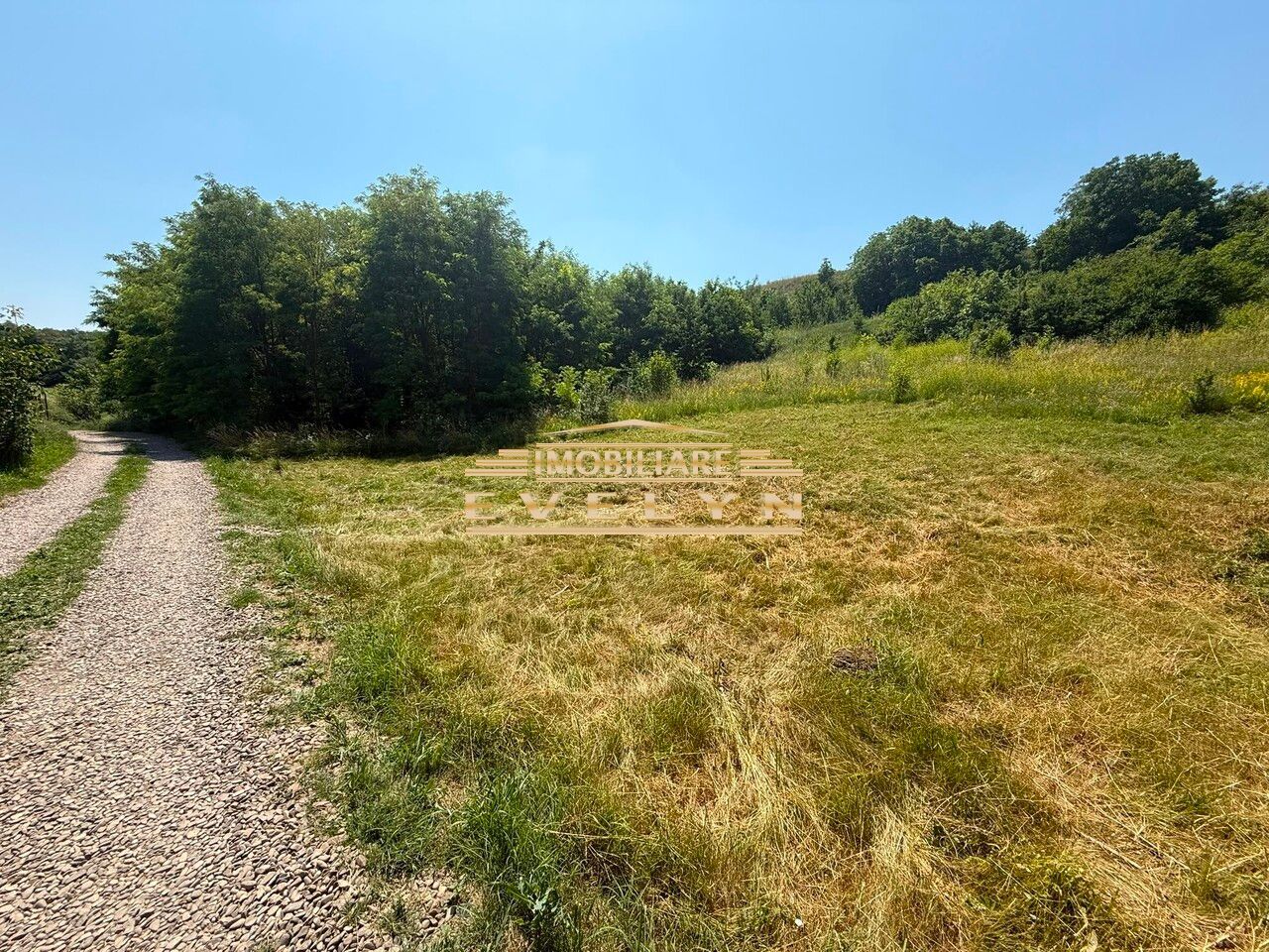 Teren intravilan 3.667 mp de vânzare – Str. Cismea, Botoșani - Poză 2
