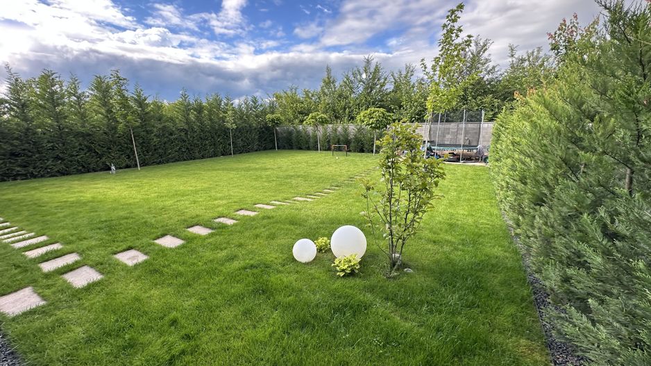 PROIECT  DEOSEBIT  IN  DUMBRAVITA - Poză 17