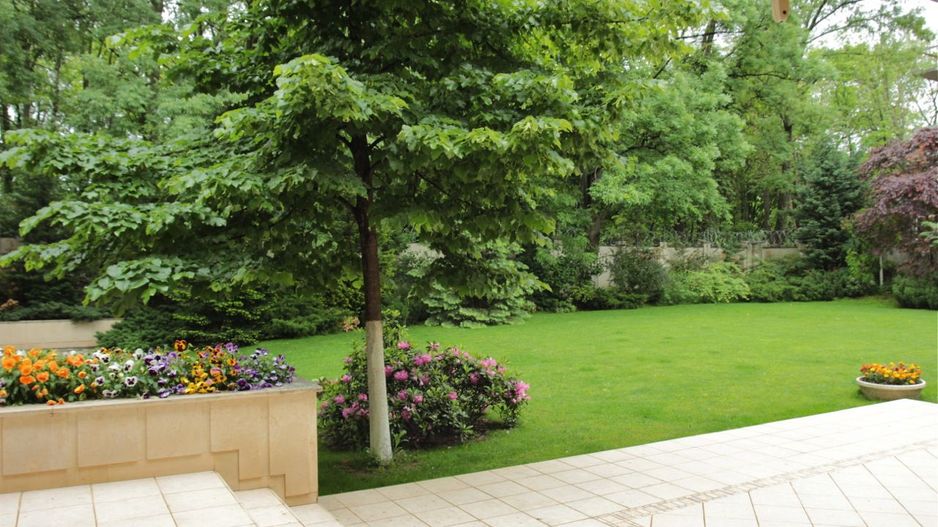 Vila impresionantă cu 15 camere, situată în zona Barbu Văcărescu - Poză 10