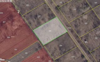 Vânzare teren agricol, satul Maximovca, Anenii Noi - Poză 1